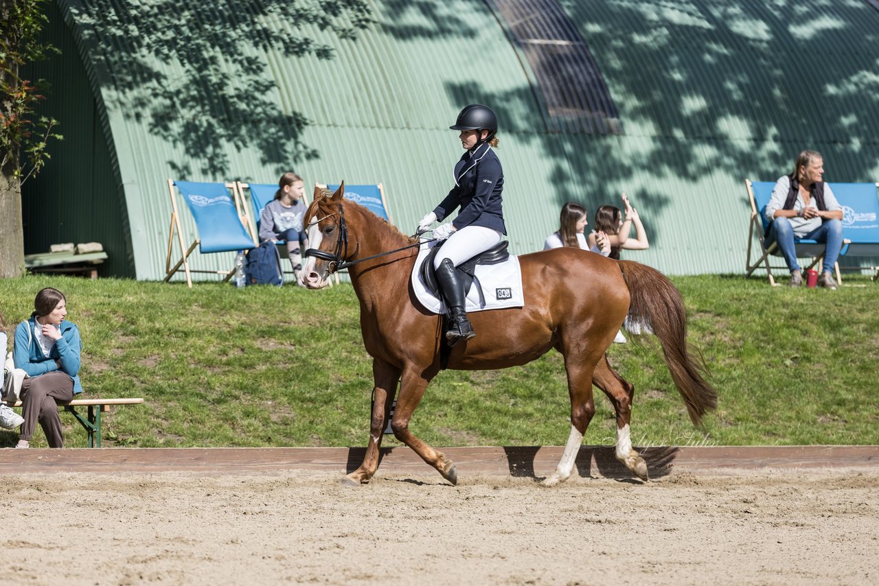 Bild 149 - Pony Akademie Turnier